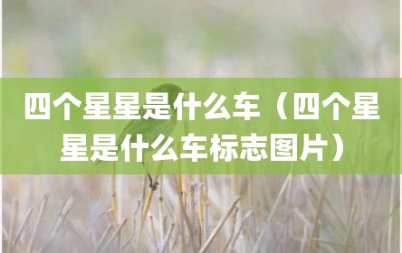 四个星星是什么车（四个星星是什么车标志图片）