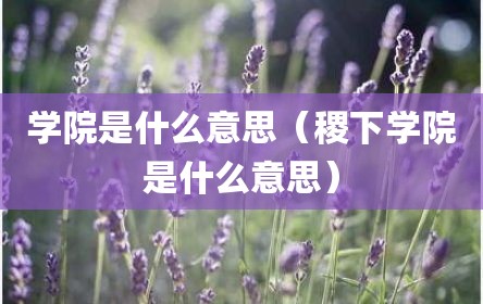 学院是什么意思（稷下学院是什么意思）