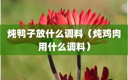 炖鸭子放什么调料（炖鸡肉用什么调料）