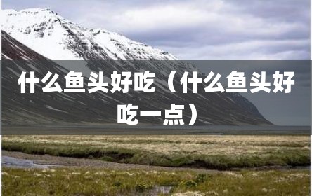 什么鱼头好吃（什么鱼头好吃一点）