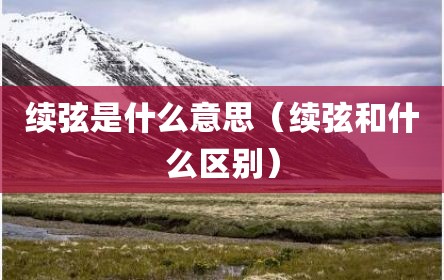 续弦是什么意思（续弦和什么区别）
