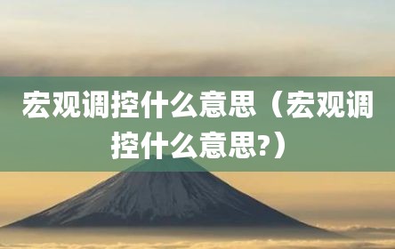 宏观调控什么意思（宏观调控什么意思?）
