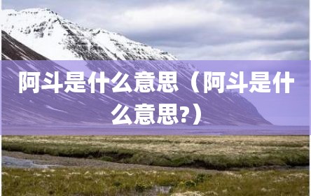 阿斗是什么意思（阿斗是什么意思?）