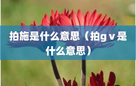 拍施是什么意思（拍gⅴ是什么意思）