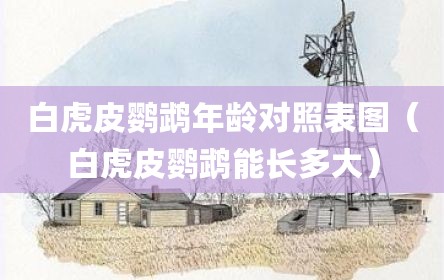 白虎皮鹦鹉年龄对照表图（白虎皮鹦鹉能长多大）