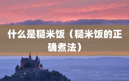 什么是糙米饭（糙米饭的正确煮法）