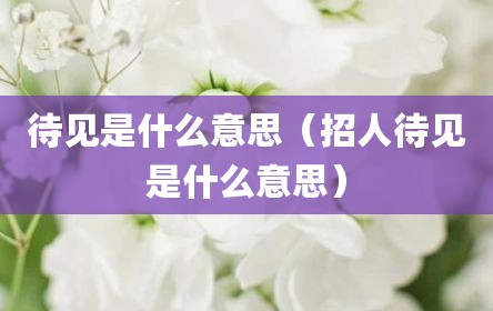 待见是什么意思（招人待见是什么意思）
