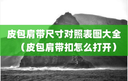 皮包肩带尺寸对照表图大全（皮包肩带扣怎么打开）