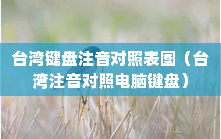 台湾键盘注音对照表图（台湾注音对照电脑键盘）