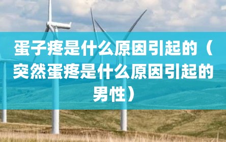 蛋子疼是什么原因引起的（突然蛋疼是什么原因引起的男性）