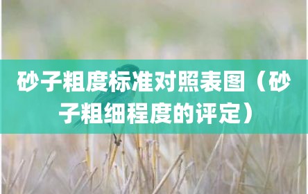 砂子粗度标准对照表图（砂子粗细程度的评定）