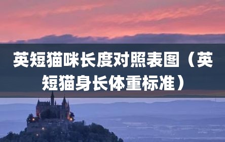 英短猫咪长度对照表图（英短猫身长体重标准）