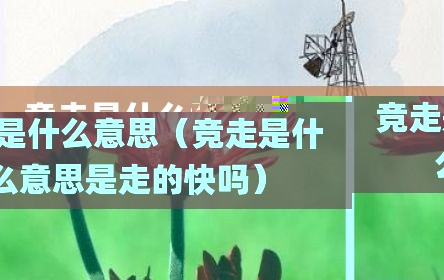 竞走是什么意思（竞走是什么意思是走的快吗）