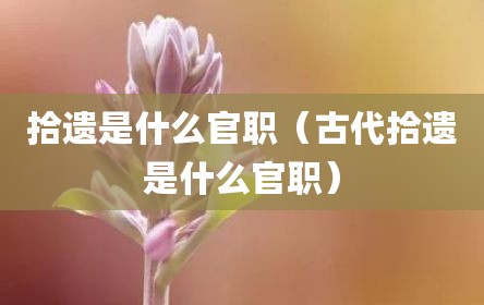 拾遗是什么官职（古代拾遗是什么官职）