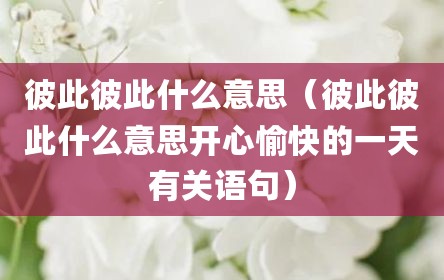 彼此彼此什么意思（彼此彼此什么意思开心愉快的一天有关语句）