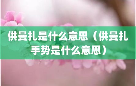 供曼扎是什么意思（供曼扎手势是什么意思）