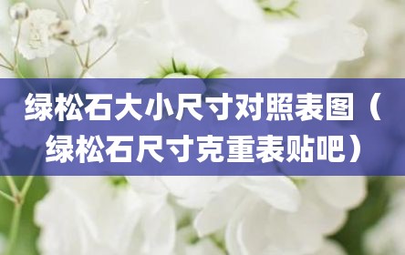 绿松石大小尺寸对照表图（绿松石尺寸克重表贴吧）