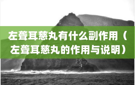 左聋耳慈丸有什么副作用（左聋耳慈丸的作用与说明）