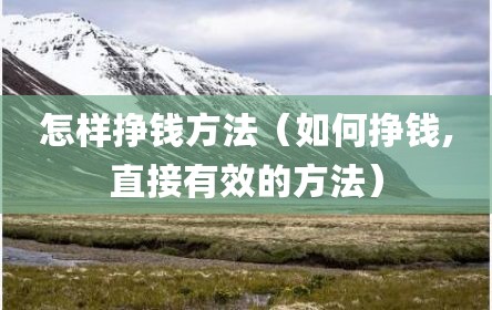 怎样挣钱方法（如何挣钱,直接有效的方法）