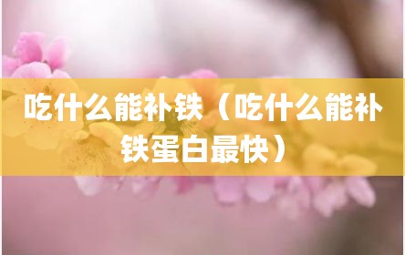 吃什么能补铁（吃什么能补铁蛋白最快）