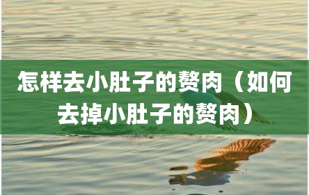 怎样去小肚子的赘肉（如何去掉小肚子的赘肉）
