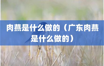 肉燕是什么做的（广东肉燕是什么做的）