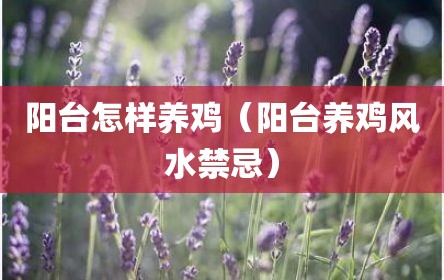 阳台怎样养鸡（阳台养鸡风水禁忌）