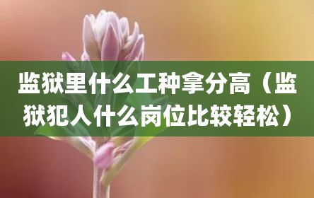 监狱里什么工种拿分高（监狱犯人什么岗位比较轻松）