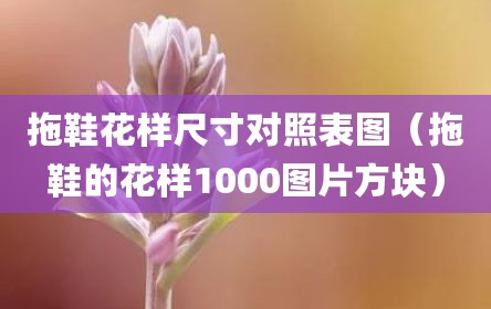 拖鞋花样尺寸对照表图（拖鞋的花样1000图片方块）