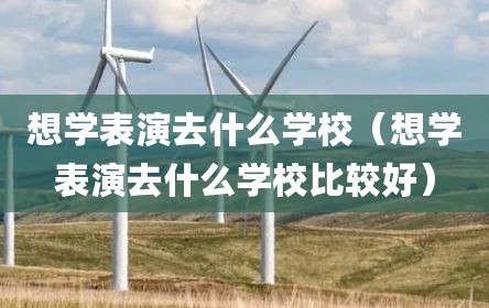 想学表演去什么学校（想学表演去什么学校比较好）