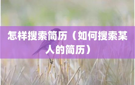 怎样搜索简历（如何搜索某人的简历）