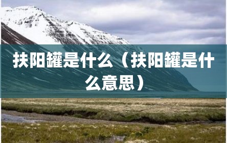 扶阳罐是什么（扶阳罐是什么意思）