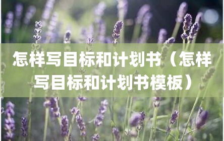 怎样写目标和计划书（怎样写目标和计划书模板）