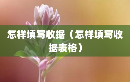 怎样填写收据（怎样填写收据表格）