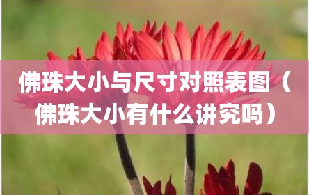 佛珠大小与尺寸对照表图（佛珠大小有什么讲究吗）