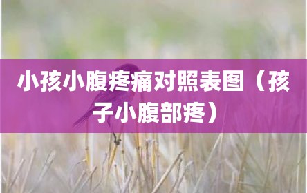 小孩小腹疼痛对照表图（孩子小腹部疼）