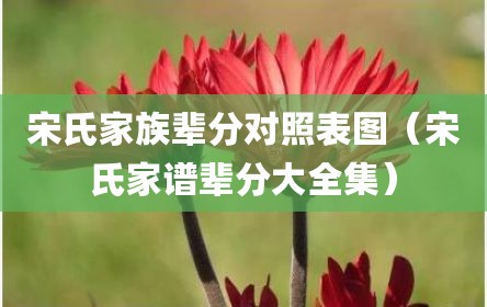 宋氏家族辈分对照表图（宋氏家谱辈分大全集）