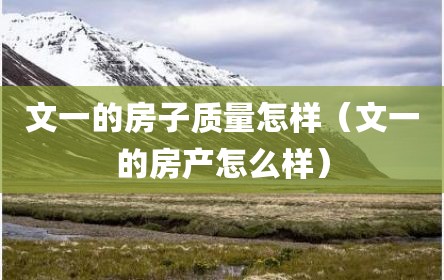 文一的房子质量怎样（文一的房产怎么样）