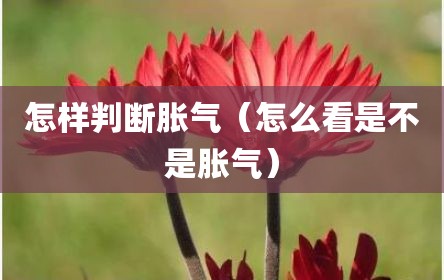 怎样判断胀气（怎么看是不是胀气）