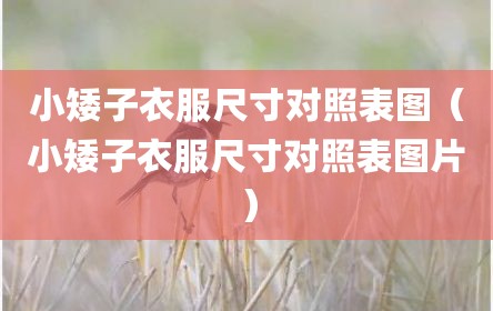 小矮子衣服尺寸对照表图（小矮子衣服尺寸对照表图片）