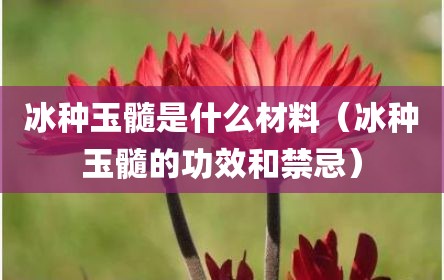 冰种玉髓是什么材料（冰种玉髓的功效和禁忌）