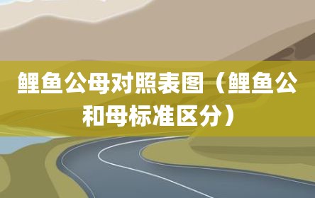 鲤鱼公母对照表图（鲤鱼公和母标准区分）