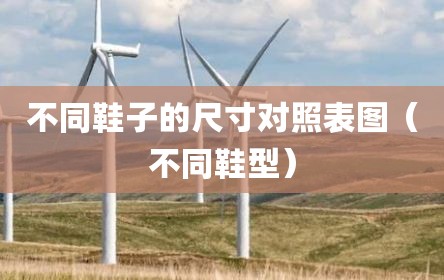 不同鞋子的尺寸对照表图（不同鞋型）