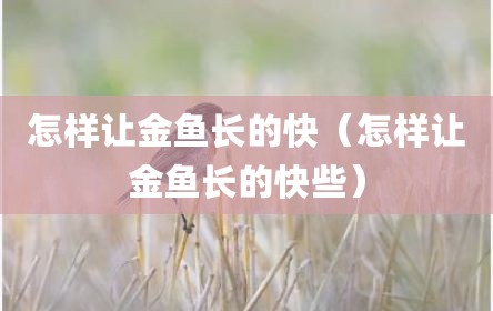 怎样让金鱼长的快（怎样让金鱼长的快些）
