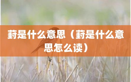 葑是什么意思（葑是什么意思怎么读）
