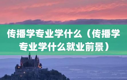 传播学专业学什么（传播学专业学什么就业前景）