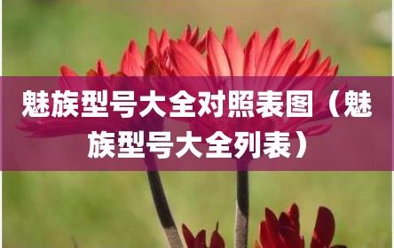 魅族型号大全对照表图（魅族型号大全列表）