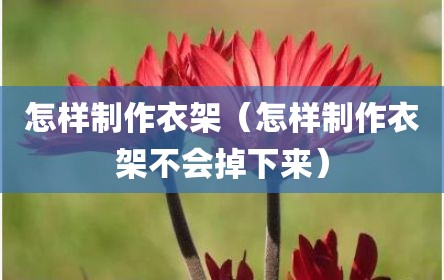 怎样制作衣架（怎样制作衣架不会掉下来）