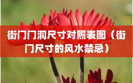 街门门洞尺寸对照表图（街门尺寸的风水禁忌）