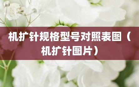 机扩针规格型号对照表图（机扩针图片）